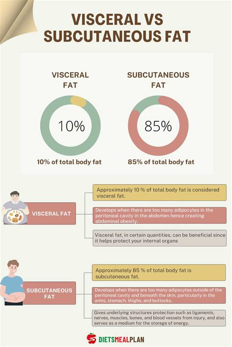 visceral vs subcutaneous fat